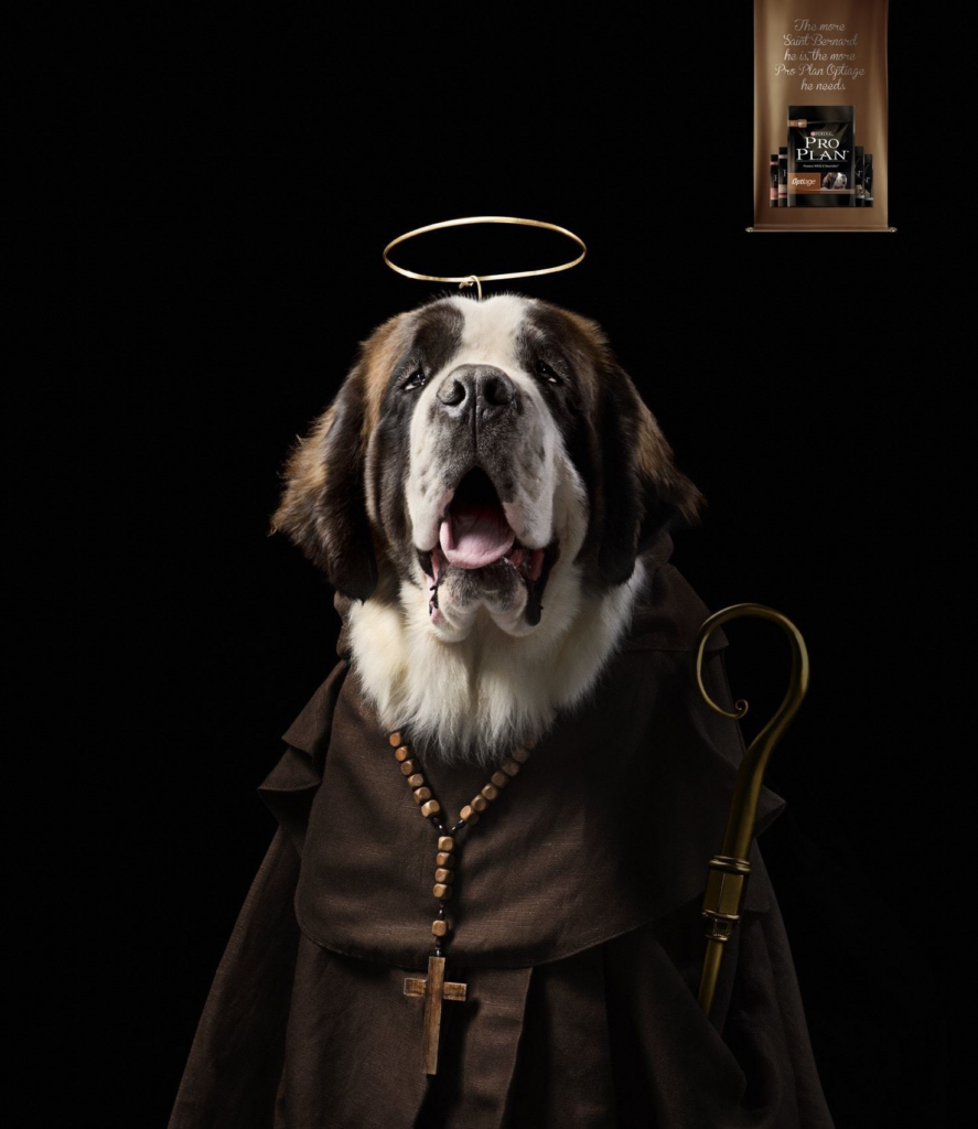 креативная реклама Purina Pro Plan