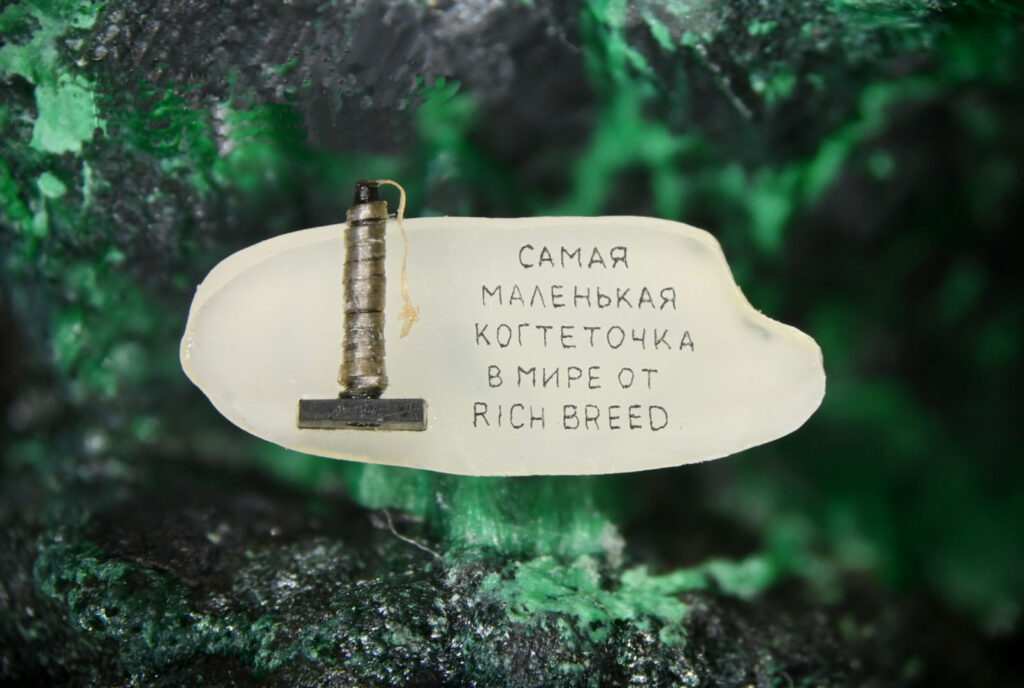 самая маленькая когтеточка высотой 2,5мм от RICH BREED